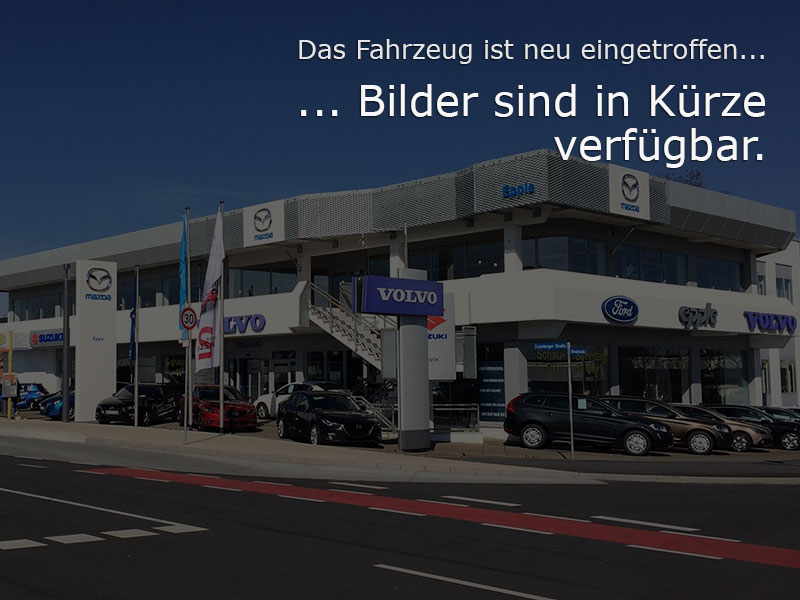 Ford Puma Gebrauchtwagen Kaufen