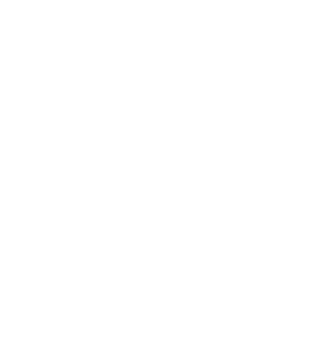 Logo Polestar Service